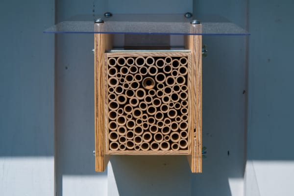 Das BeeHome von Wildbiene + Partner